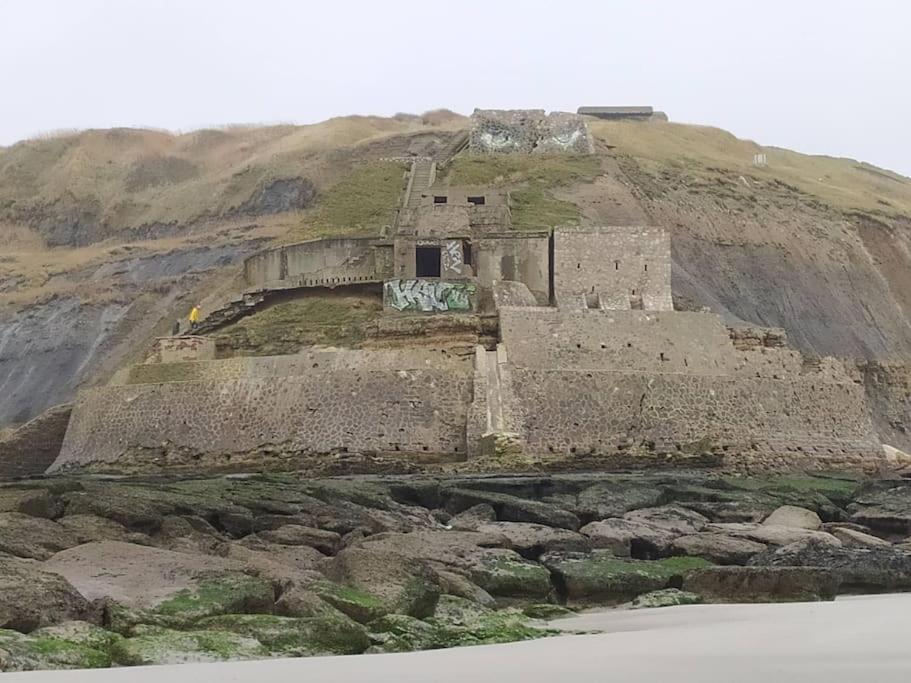 Face Nausicaa Et Plage Vue Panoramique Boulogne-sur-Mer Eksteriør billede