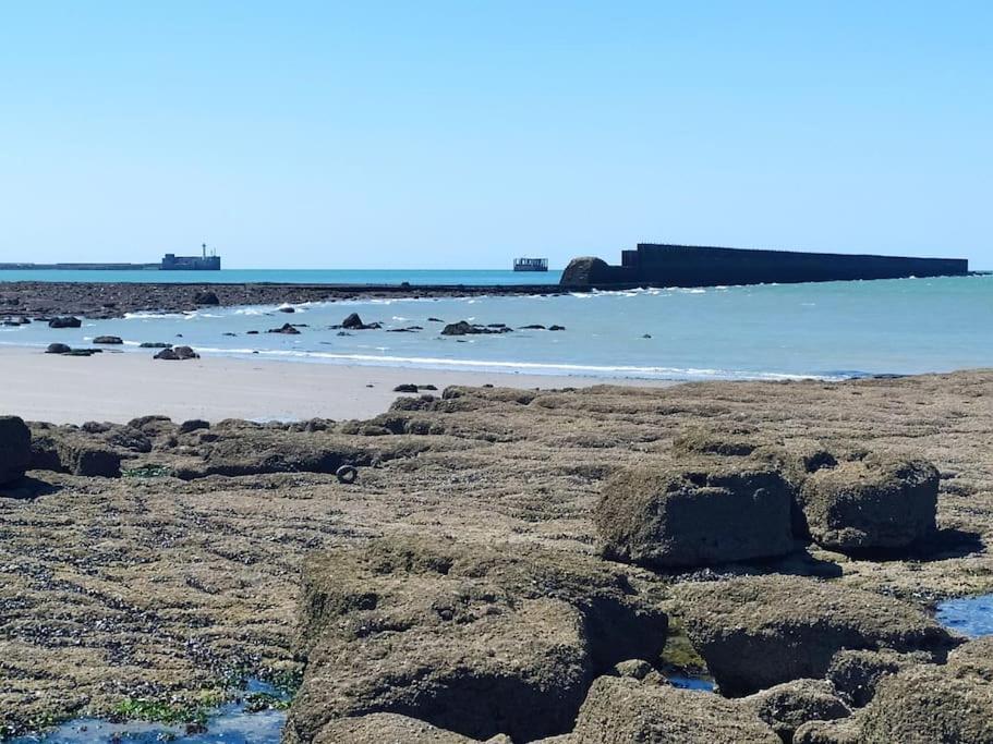 Face Nausicaa Et Plage Vue Panoramique Boulogne-sur-Mer Eksteriør billede